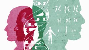 De invloed van vitamine D op de ontwikkeling van psychiatrische stoornissen tijdens de perinatale periode