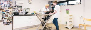 Kliniek van Dierenarts A. van Riel-Roozen in Noordwijk