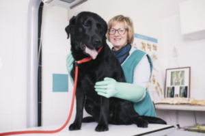 Kliniek van Dierenarts A. van Riel-Roozen in Noordwijk