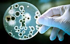 AI-doorbraak in de Strijd tegen Antibioticaresistente Bacteriën door MIT