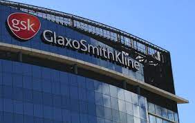 GlaxoSmithKline (GSK) heeft deskundigen bijeengebracht om de rol van vaccins bij de bescherming van mensen tegen ziekten te bestuderen en manieren te vinden om ze duurzamer te maken