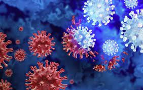 Onmiddellijke maatregelen zijn nodig om de gevolgen van een "dubbele epidemie" in Europa en de VS te beperken